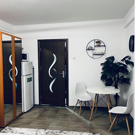 Studio Vio Apartment Tulcea Exterior photo