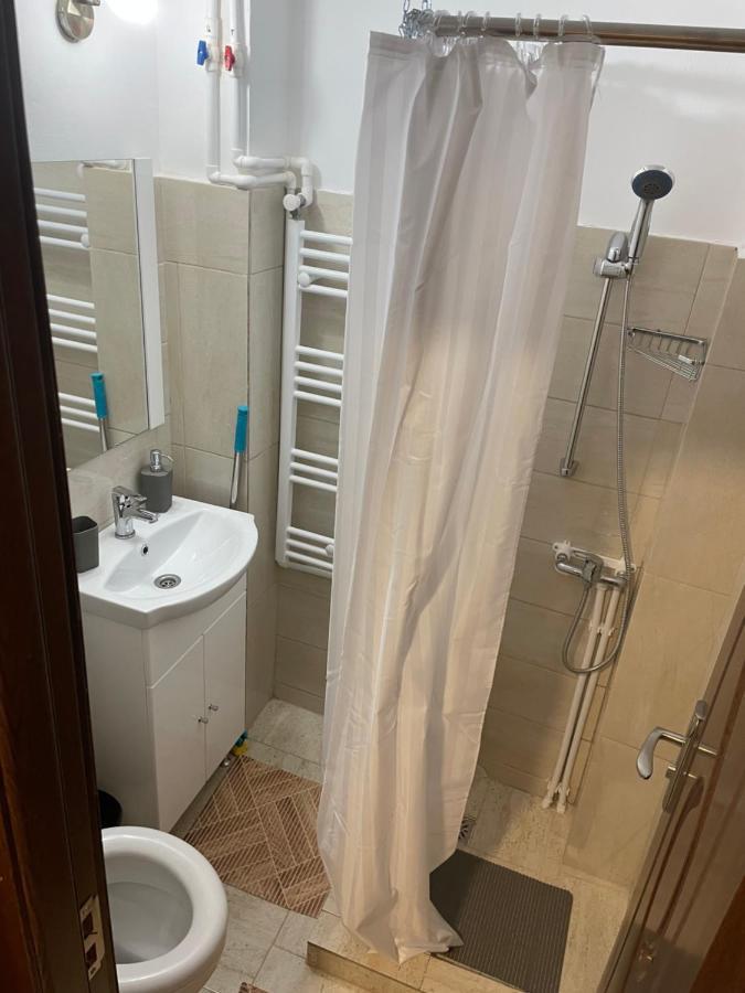 Studio Vio Apartment Tulcea Exterior photo